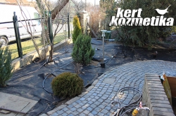 Tavaszi növényültetés (20)